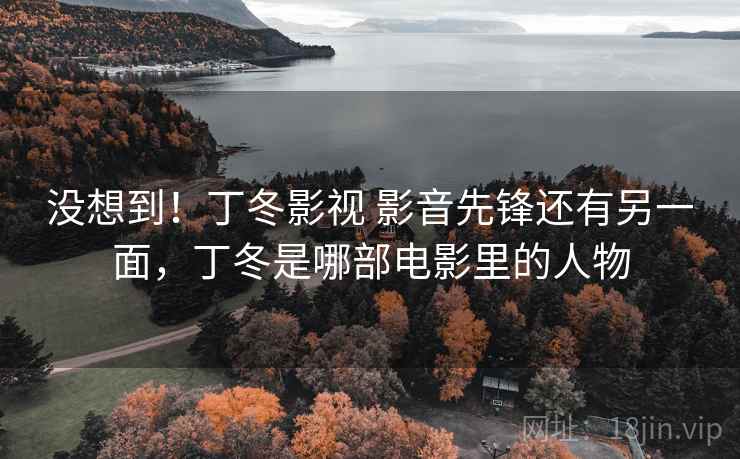 没想到！丁冬影视 影音先锋还有另一面，丁冬是哪部电影里的人物